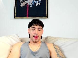 Will Ferrari webcam model stream image