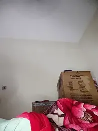 Sheela-Bhabi webcam model stream image