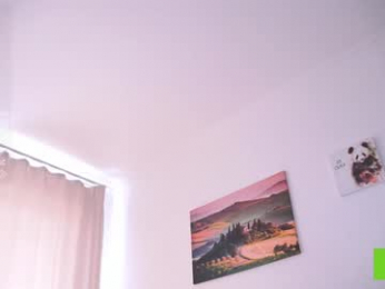 oke_doke webcam model stream image