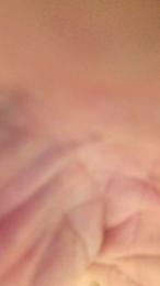 filou27_fun webcam model stream image