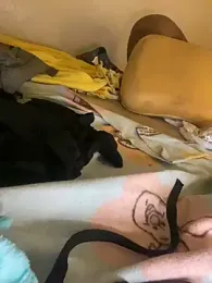 willie896 webcam model stream image