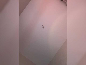 -Kami- webcam model stream image