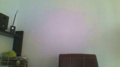 donpollon21cm webcam model stream image