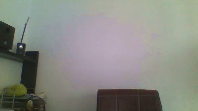 donpollon21cm webcam model stream image