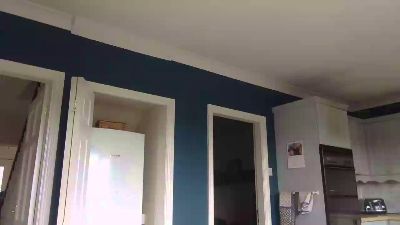 BiDilf40 webcam model stream image