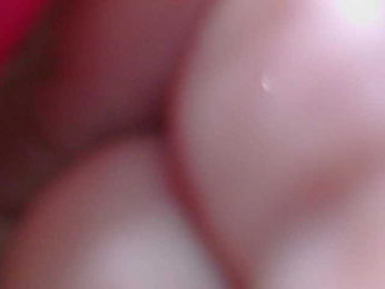 FOX-ME- webcam model stream image