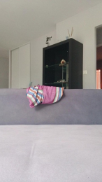Gazelle webcam cam4 model stream image