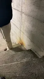 latingangsex webcam model stream image