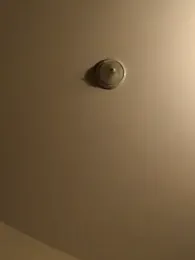 Doherty10 webcam model stream image