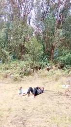 _noahdiaz webcam model stream image