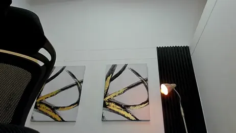 aerum_ webcam model stream image
