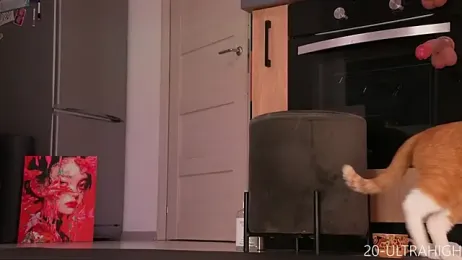 evaahothead webcam model stream image