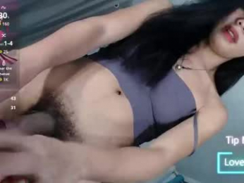 xxasiantscummerxx webcam model stream image