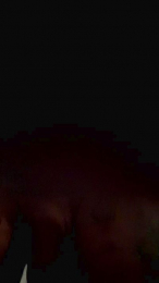 Srj26 webcam model stream image
