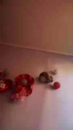 Rubii2023 webcam model stream image