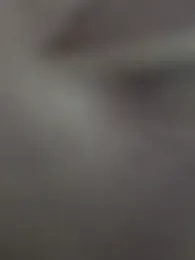 whvysky3 webcam model stream image