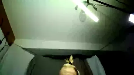 Vickyfoxx webcam model stream image