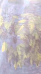 Jota_Show webcam cam4 model stream image