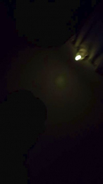 Pyerry82 webcam model stream image