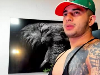 king_falconer webcam model stream image