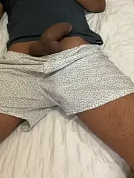 Indian_bull_in_uk webcam model stream image