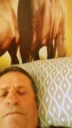 Safado474 webcam model stream image