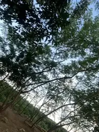 outdoors11 webcam stripchat model stream image