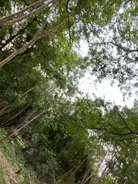 outdoors11 webcam stripchat model stream image