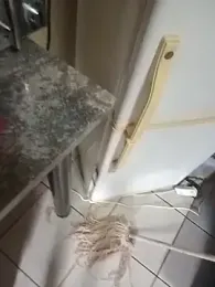 ShooingBunch webcam model stream image