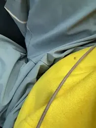 Prettydickboyy webcam model stream image