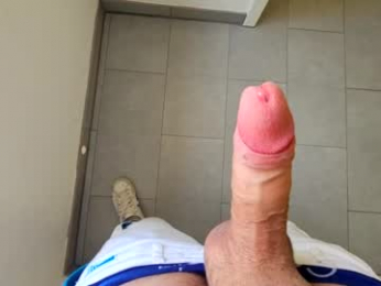 ddstyler2 webcam model stream image