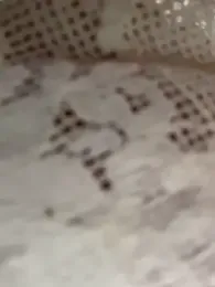 daaqnn webcam model stream image