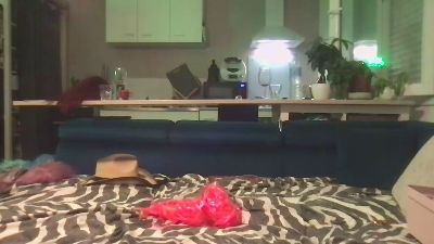 LesbianSexStory webcam model stream image