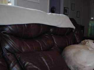 torahhymen webcam model stream image