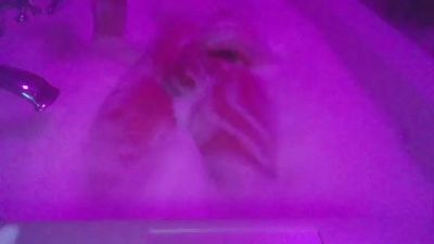 negajd webcam model stream image