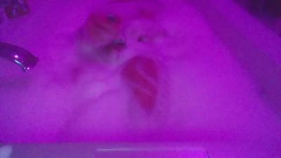 negajd webcam model stream image