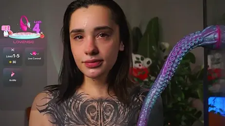 EvaCanton webcam model stream image