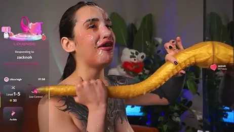 EvaCanton webcam model stream image