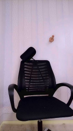 Vallilla webcam model stream image