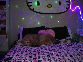 princesssbella webcam model stream image