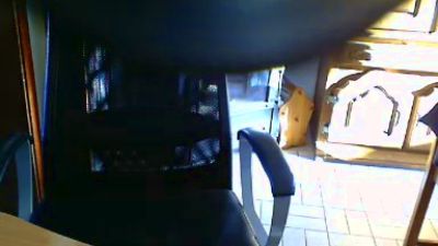 bisonfute webcam model stream image