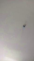 abel262 webcam cam4 model stream image