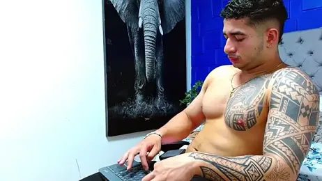 king_falconer webcam model stream image