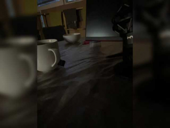 Sossex webcam model stream image