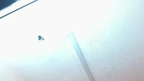 molly_andsam webcam model stream image
