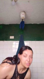 AlkiCor webcam model stream image