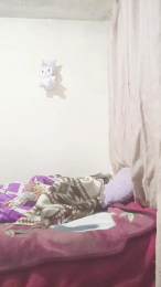 AlkiCor webcam model stream image