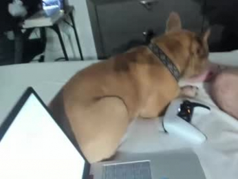 gayndepressed webcam model stream image