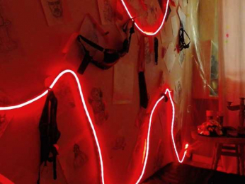 EDEM-ART webcam model stream image