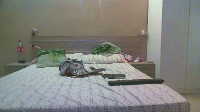 delgada388 webcam model stream image